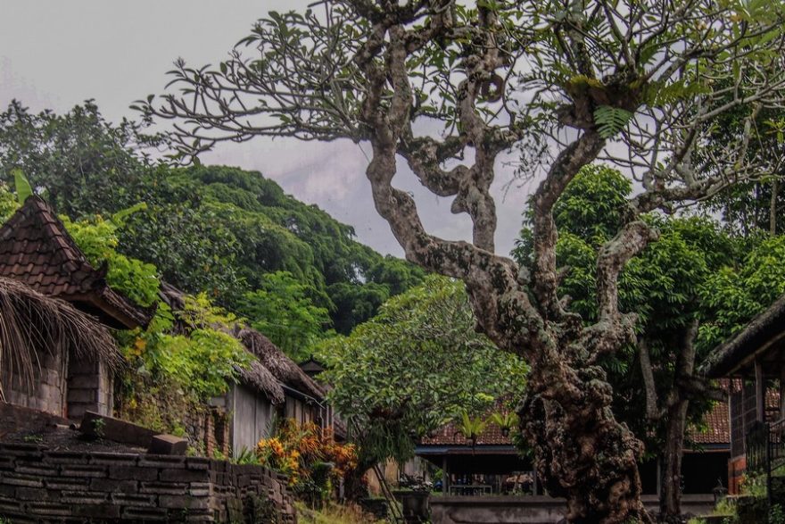 Domy ve vescnici Tenganan