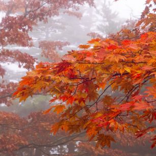 Podzim v Odaesanu, Jižní Korea