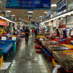 Hlavní budova trhu je plná kádí a akvárií, Busan, Jižní Korea / F: Dominik Franěk