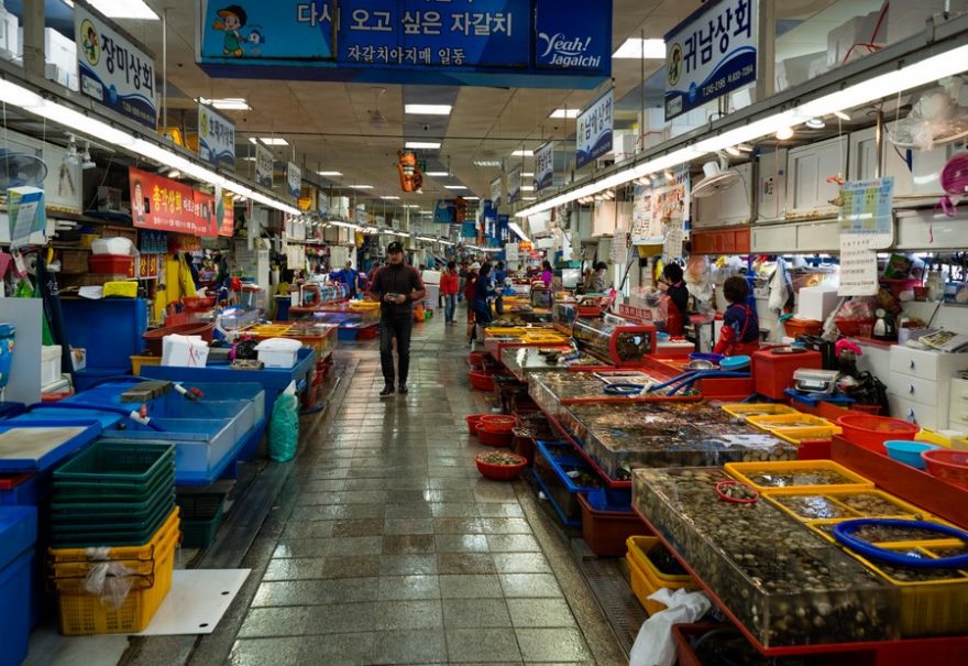Hlavní budova trhu je plná kádí a akvárií, Busan, Jižní Korea / F: Dominik Franěk
