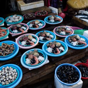 Nevíte, co dřív ochutnat? Zkuste trošku ode všeho. Busan, Jižní Korea / F: Dominik Franěk