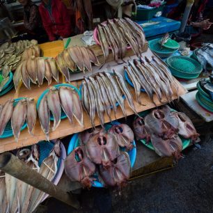 Přehlídka sušených ryb, Busan, Jižní Korea / F: Dominik Franěk