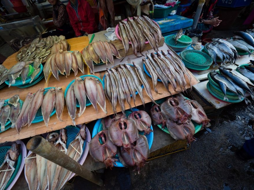 Přehlídka sušených ryb, Busan, Jižní Korea / F: Dominik Franěk