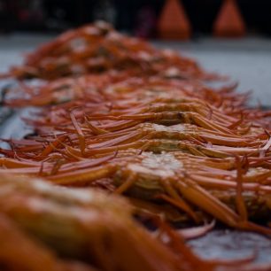 Sněžný krab je taková delikatesa, že se kvůli němu pořádají i festivaly, Busan, Jižní Korea