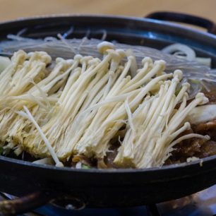 Korejci milují i houby všech tvarů a barev, Čondžu, Jižní Korea