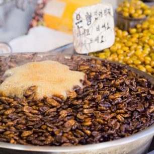 Jí se opravdu všechno, co se hýbe, včetně larev, Čondžu, Jižní Korea