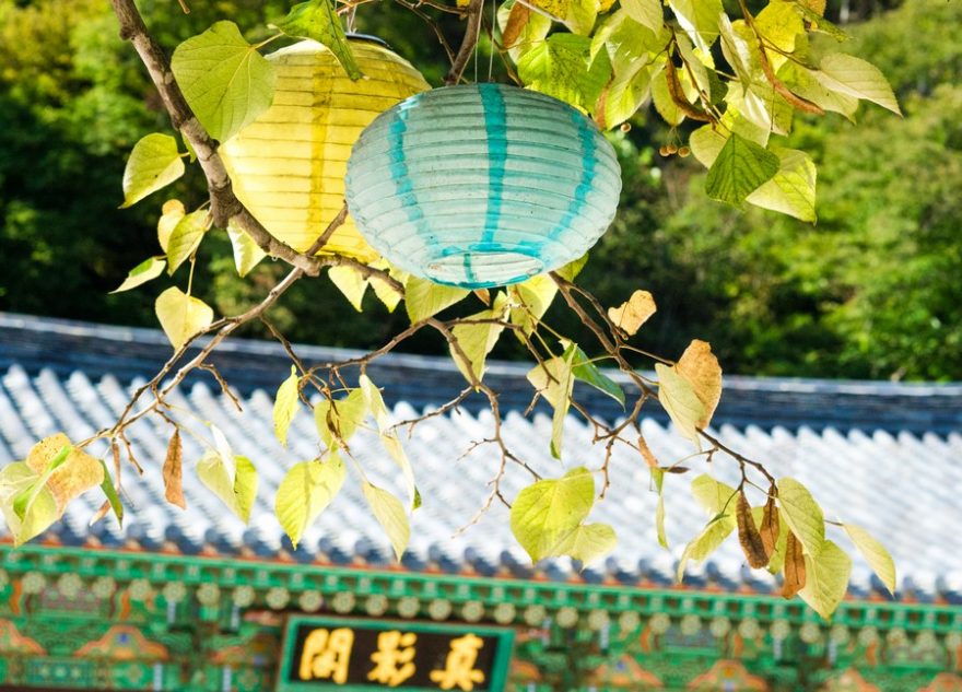 Lampiony ale zdobí celou zemi každý den, nejen v období festivalů, Jinju, Jižní Korea