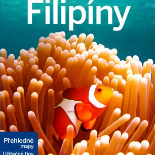 Filipíny - smaragdově zelená pole i rušná velkoměsta