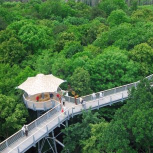 Stezka korunami stromů, NP Hainich, Durynsko, Německo / F: Rüdiger Biehl, NLP Hainich Verwaltung