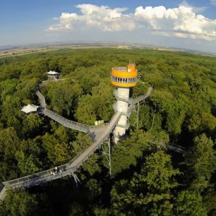 Stezka korunami stromů, NP Hainich, Durynsko, Německo / F: Aaron Moser, Thüringer Tourismus GmbH