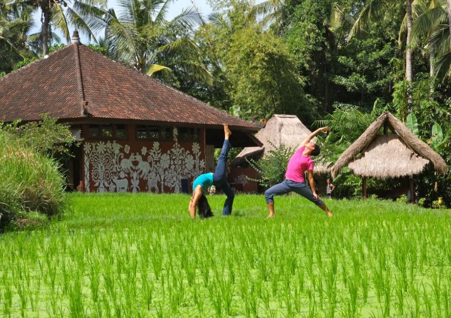 Jóga v rýžových polích, The Yoga Barn