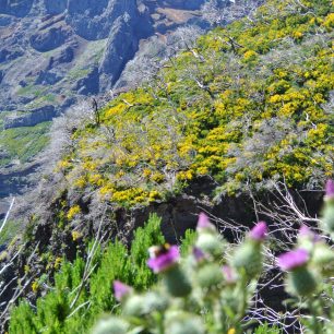 Barevné horské scenérie při výstupu na Pico Ruivo
