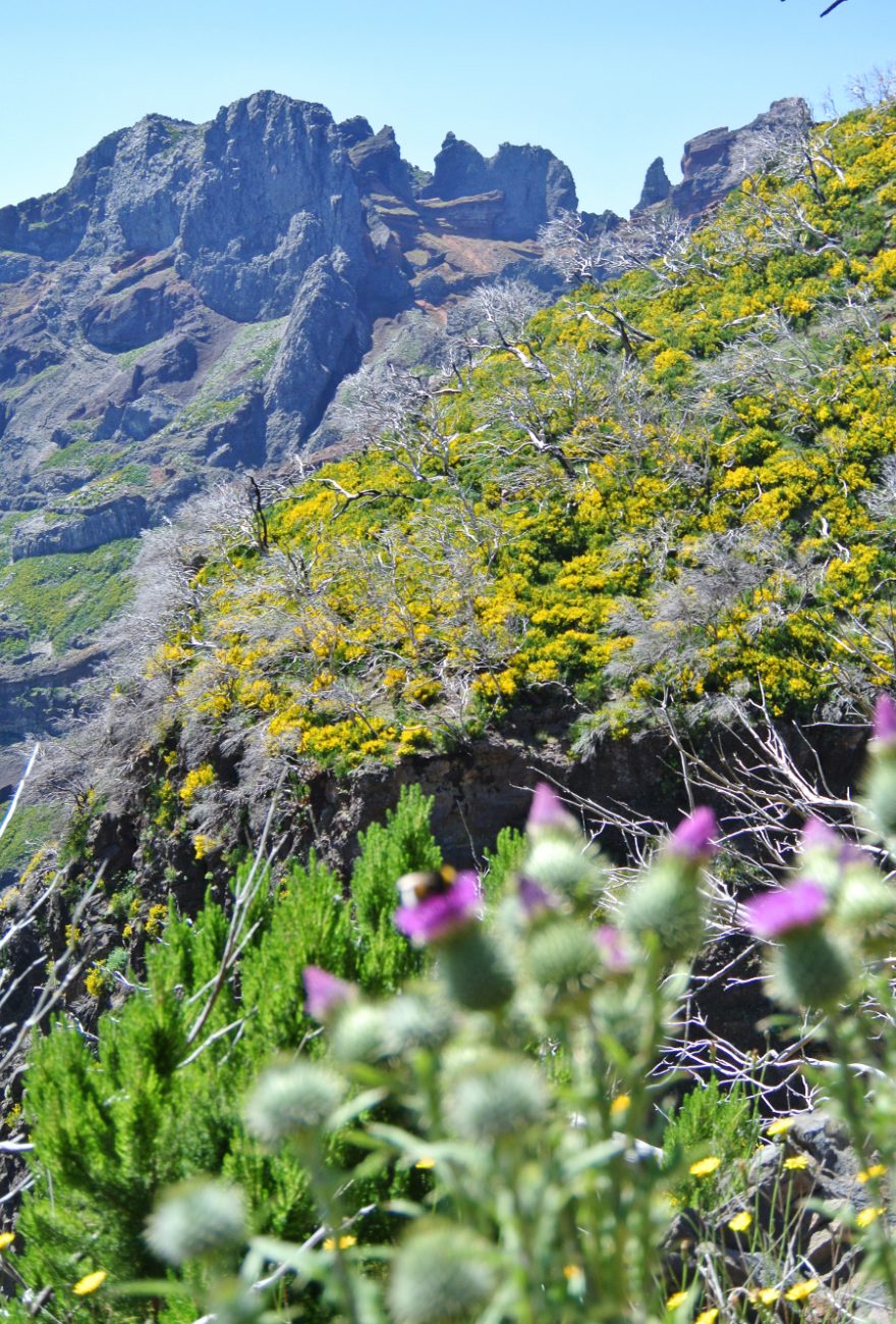 Barevné horské scenérie při výstupu na Pico Ruivo