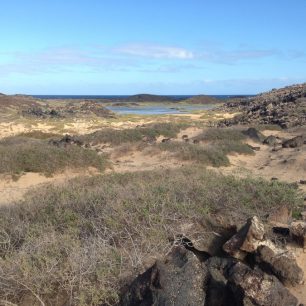 Isla de Lobos