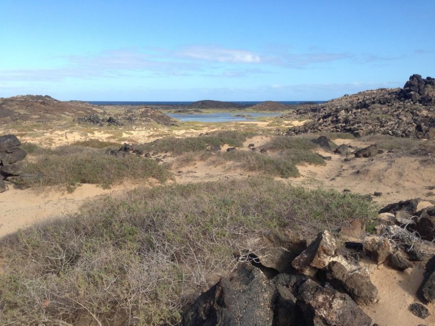 Isla de Lobos