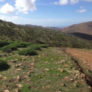 Pěšky do Vega de Río Palmas