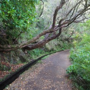 Levady protkávají celý ostrov Madeira - skvělá příležitost k výletům a procházkám