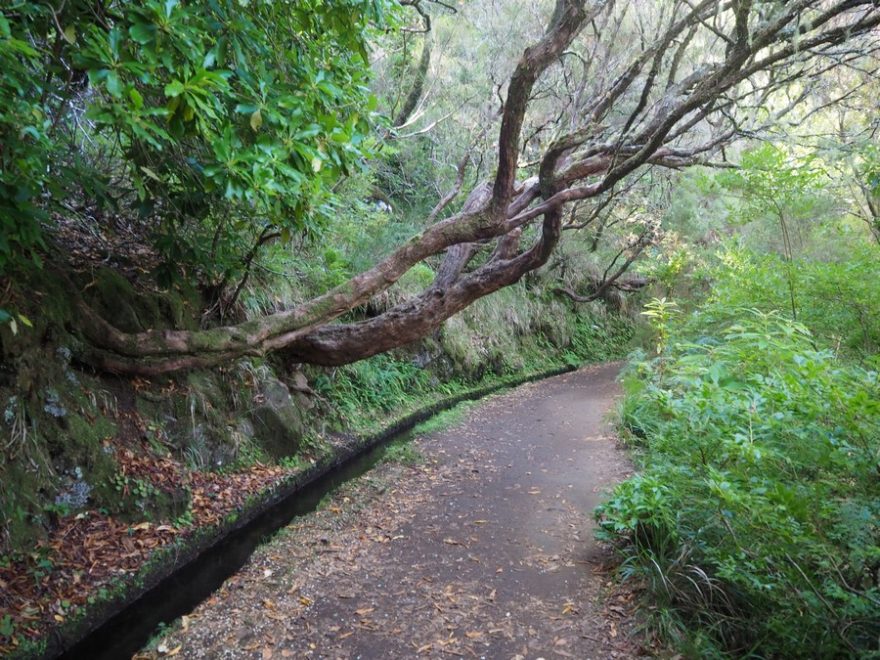 Levady protkávají celý ostrov Madeira - skvělá příležitost k výletům a procházkám