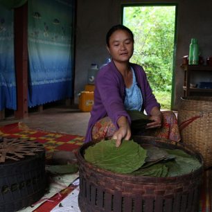 Zasažená farmářka, jejíž manžel se odstěhoval do Thajska, aby vydělal více peněz