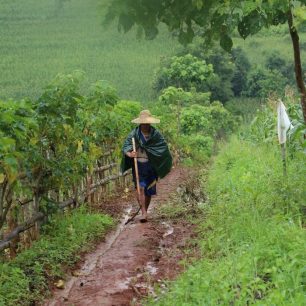Farmář Šanského státu