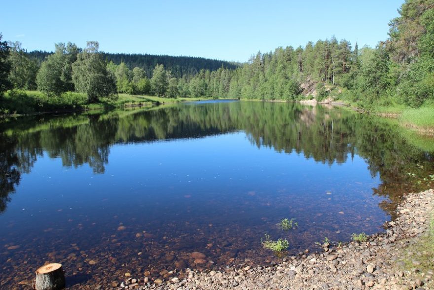 Po celou dobu treku vás budou doprovázet komáři, Oulanka