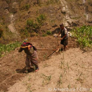 Nepálské tradiční zemědělství, Nepál