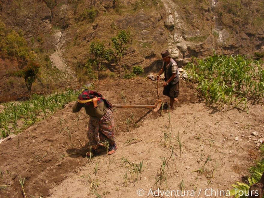 Nepálské tradiční zemědělství, Nepál