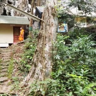 Sem tam se v lese objeví mnich...