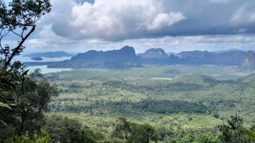 Prales a vyhlídky cestou na vrchol