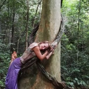 Magie stromů v pralese