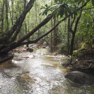 Prales a vyhlídky cestou na vrchol