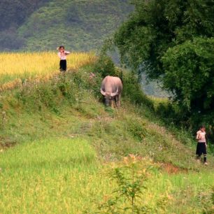 Děti v horách Sapa