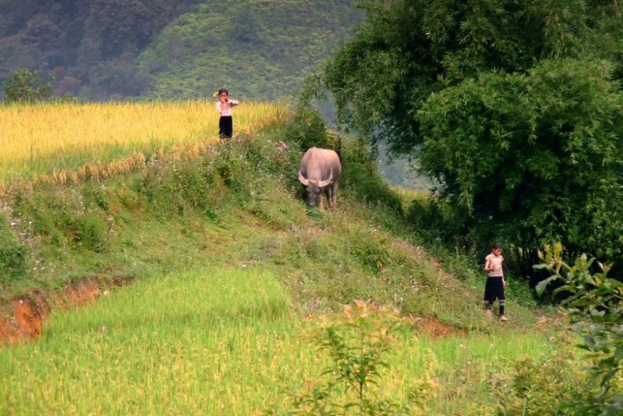 Děti v horách Sapa