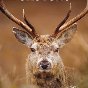 Skotsko – Turistický průvodce