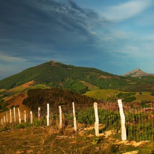 Kopečky v podhůří Pyrenejí jsou už v květnu zbarvené do sytě zelené