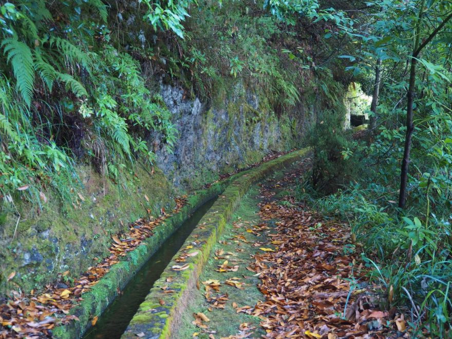 Levada dos Tornos - jedna z nejdůležitějších na Madeiře