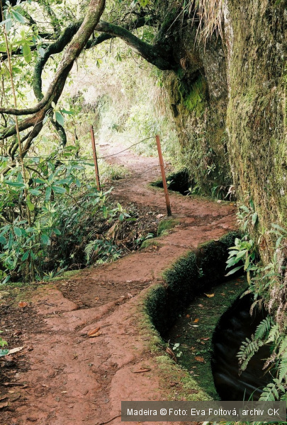 Hlavní funkcí levad je rozvádět vodu z vlhkého severu ostrova na jeho suchý jih