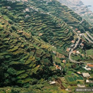 Díky terasovitým políčkům s kukuřicí Madeira místy připomíná Vietnam