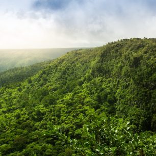 Vedle luxusních pláží Mauricius disponuje nádhernou přírodou, kam můžete vyrazit na krátký trek