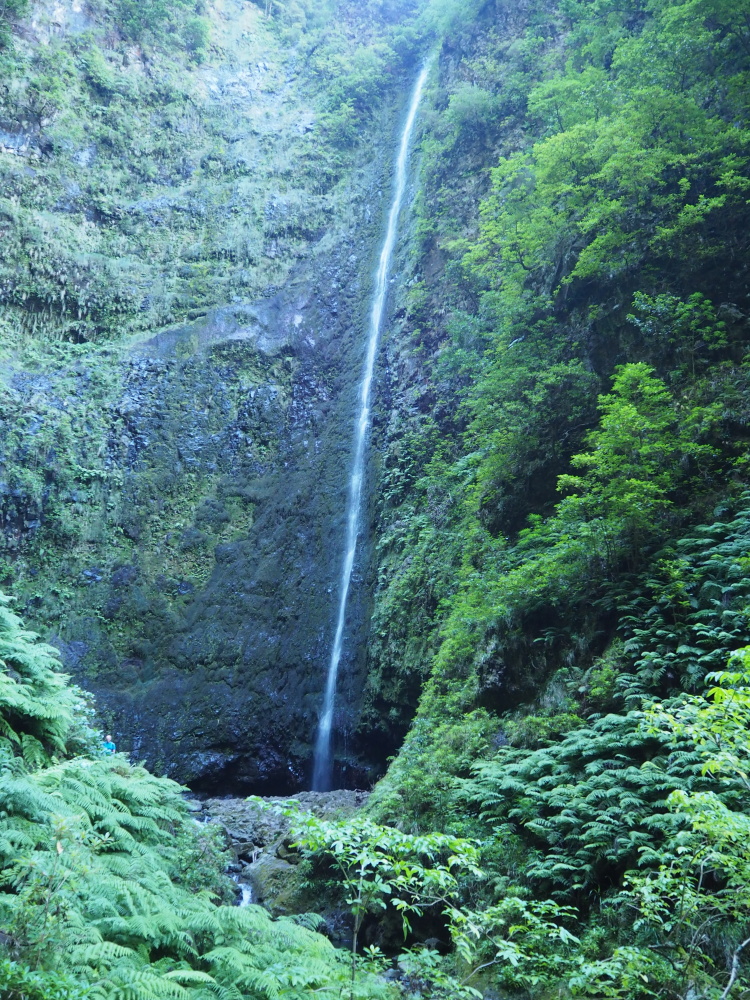 Levada do Caldeirao Verde a vodopád na konci, Madeira