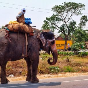 Marek projel v Indii posvátným městem Váránasí na břehu Gangy