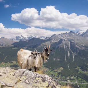 Letní Haute Route, Švýcarsko. Foto Kateřina Blecherová.