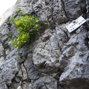 Lezení v okolí Lago di Garde