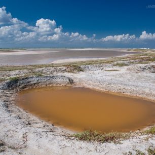 Unikátní ekosystém kolem Růžové laguny vytvořený příznivými podmínkami pro život mikroorganismů a žábronožek
