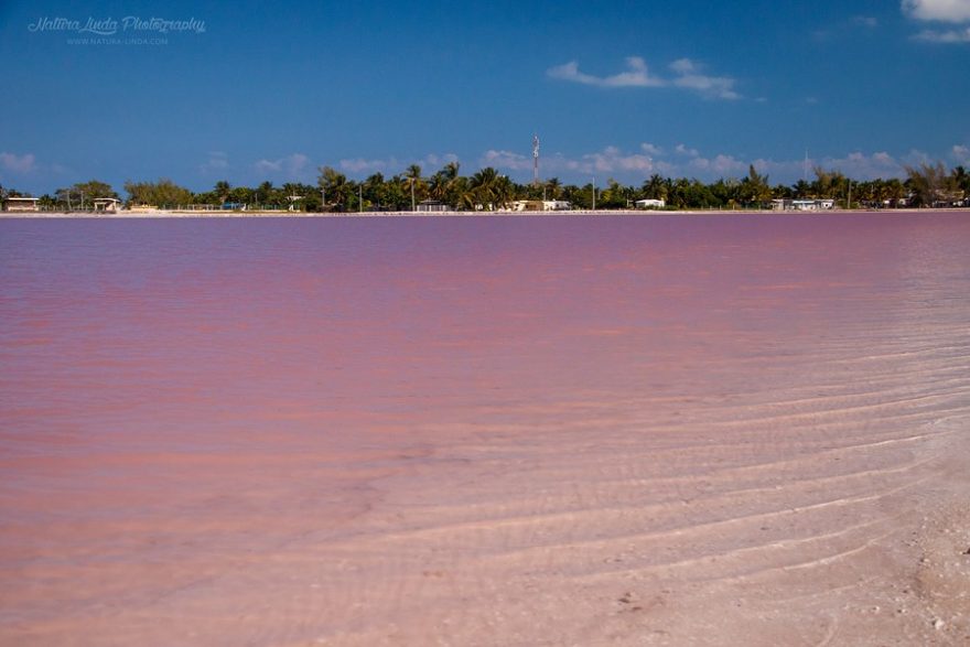 Růžovou lagunu s bělostným pískem na pláži najdete u mexické osady Las Coloradas
