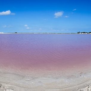 Růžová laguna je pro svoji vysokou koncentraci soli je nazývána „mexickým Mrtvým mořem“