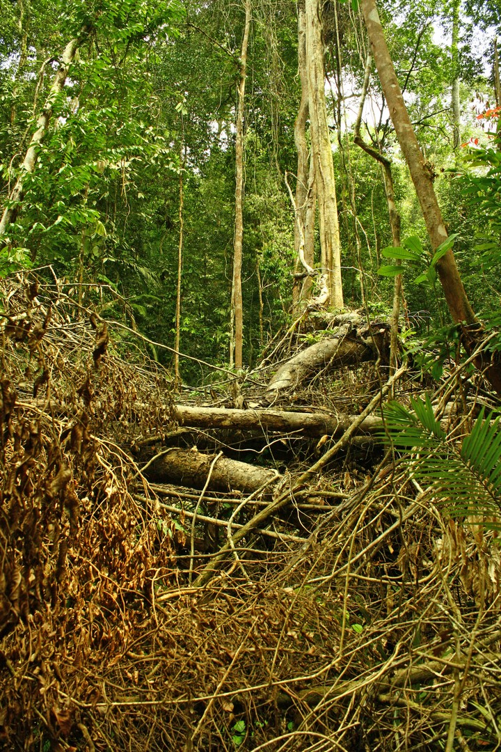 Stezka není vždy úplně snadno prostupná