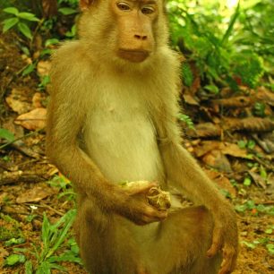 Na tyhle týpky pozor, dokud jsme krmili, byli jsme kamarádi