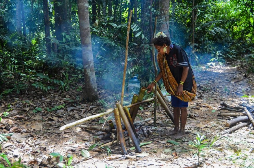 Vaření na ohni uprostřed pralesa