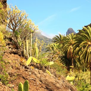 Údolí pod Roque de Agando a vesnicí Benchijiuga, Gomera